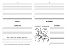 Heuschrecke-Faltbuch-vierseitig.pdf